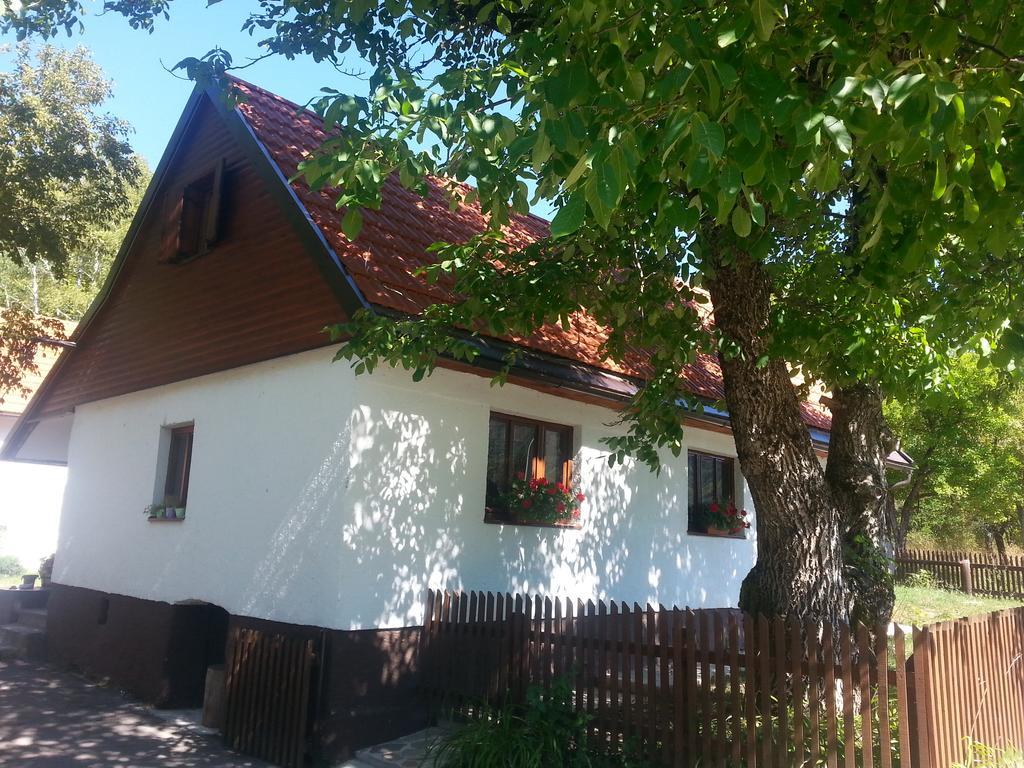 Holiday Home Rizvan City Brusane Dış mekan fotoğraf